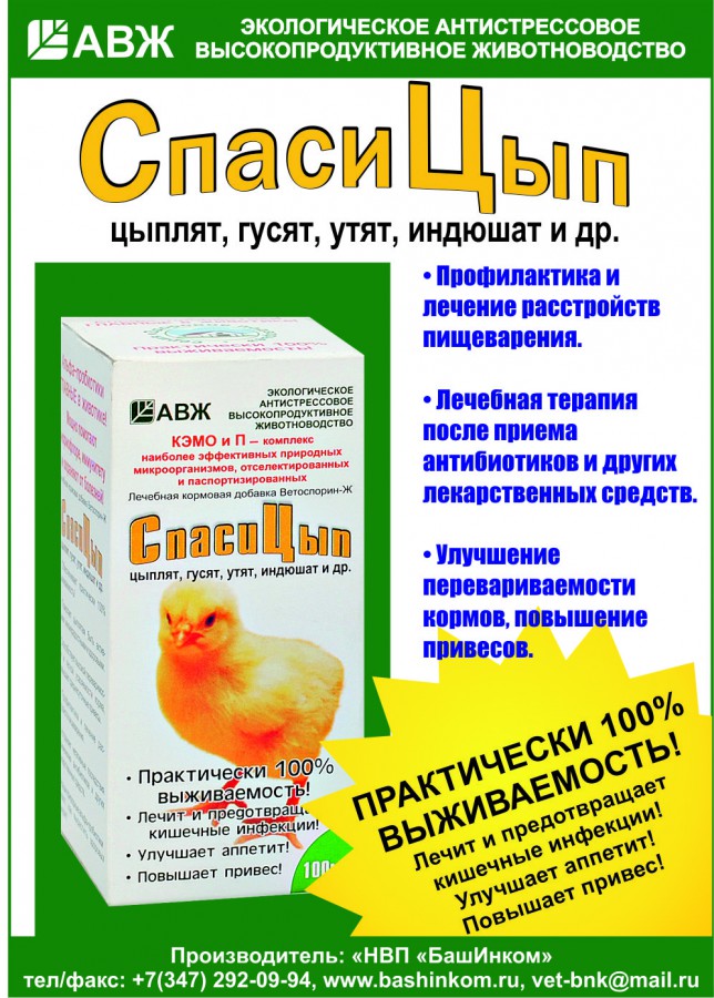 3-spasicyp.jpg